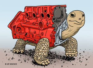 redblock-tortoise-300w